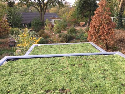 Gratis tuin- en groen dak advies op zaterdag 10 november